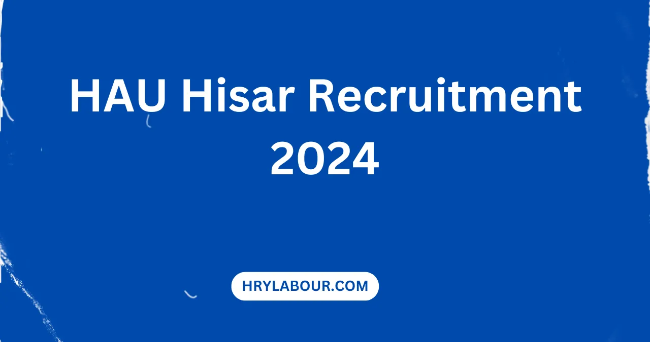 HAU Hisar Recruitment 2024