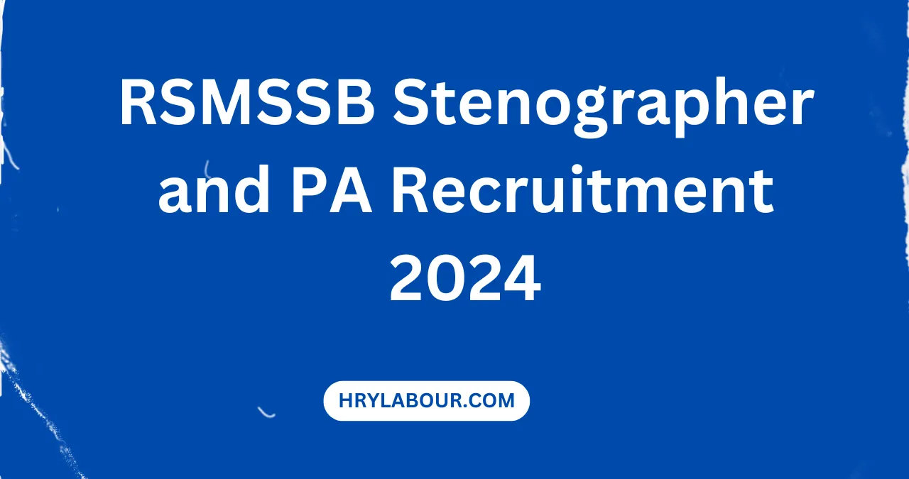 RSMSSB Stenographer and PA Recruitment 2024