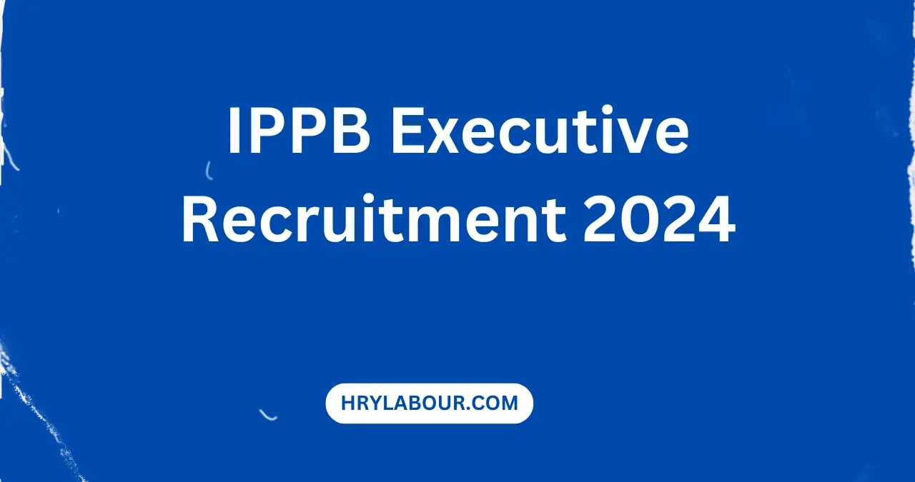 IPPB Executive Recruitment 2024