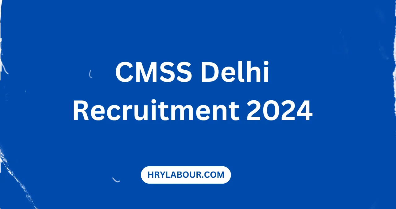 CMSS Delhi Recruitment 2024