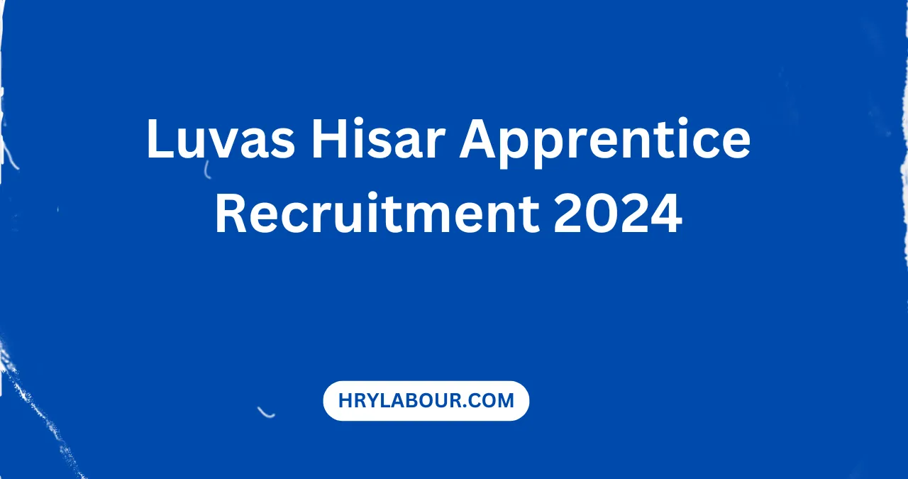 Luvas Hisar Apprentice Recruitment 2024