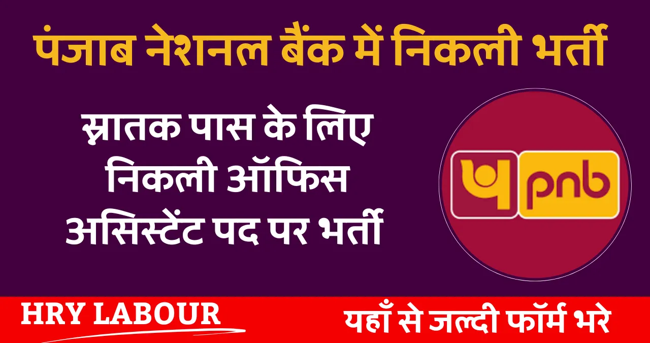 PNB Bank Haryana Vacancy 2024